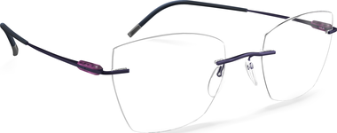 Style Name: 5561-LE 4040-5617