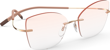 Style Name: 5541-MH 3535-5617