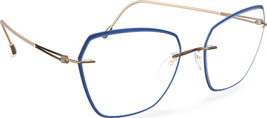 Style Name: 5566-LS 7530-5417